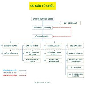 Tập Đoàn Tảo Xoắn Đại Việt